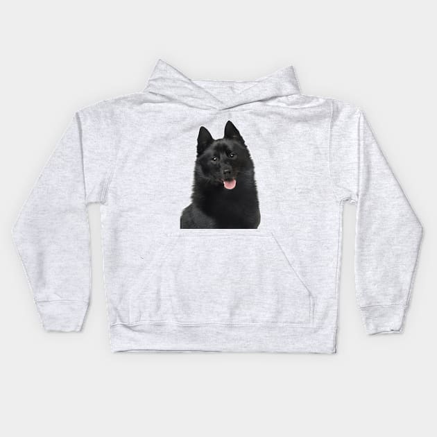 Schipperke Dog Kids Hoodie by Pam069